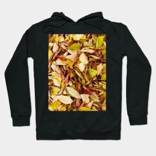 Autumn pattern Hoodie